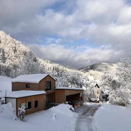 Σπίτι διακοπών Alte Schmiede *