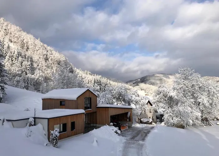 Сasa de vacaciones Alte Schmiede *